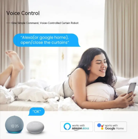 WiFi Smart Curtain Robot – Electric Roman Rod Companion for Smart Homes